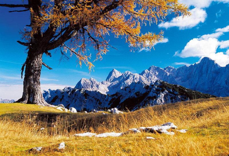 Planinska Koca Na Gozdu Hotel Kranjska Gora Exterior foto